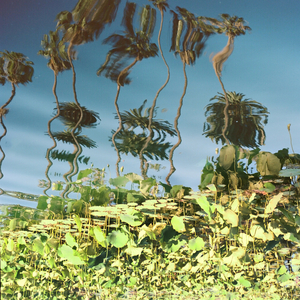 国产男男Gay黄网站戴套过程好
