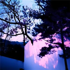 国产男男Gay黄网站戴套过程好
