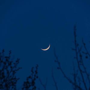 国产男男Gay黄网站戴套过程好
